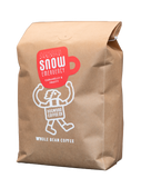 SNOW EMERGENCY // SEASONAL